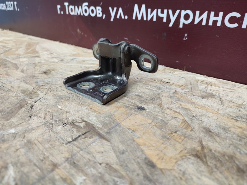 Петля     двери