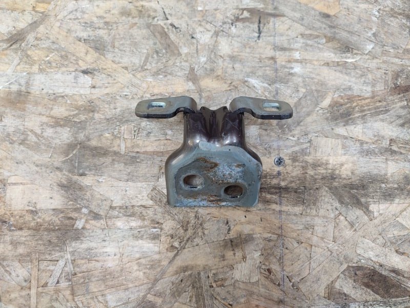 Петля     двери