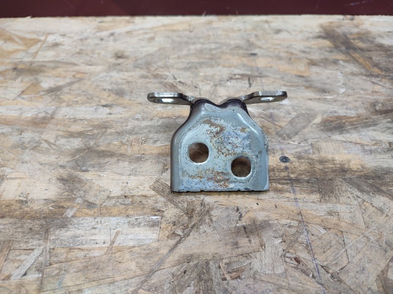 Петля     двери