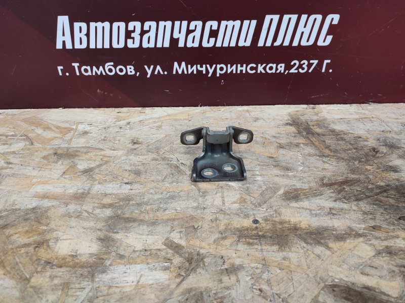 Петля     двери