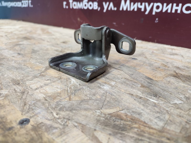 Петля     двери