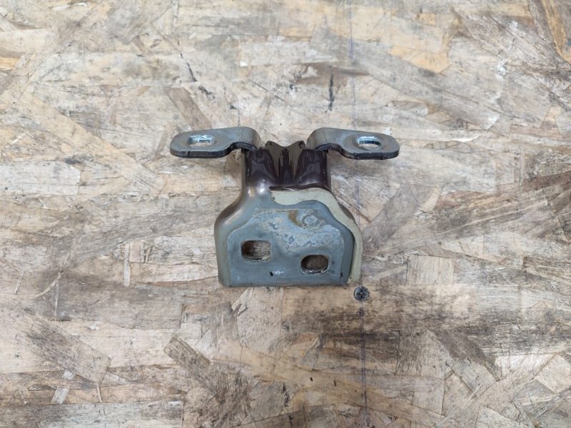 Петля     двери