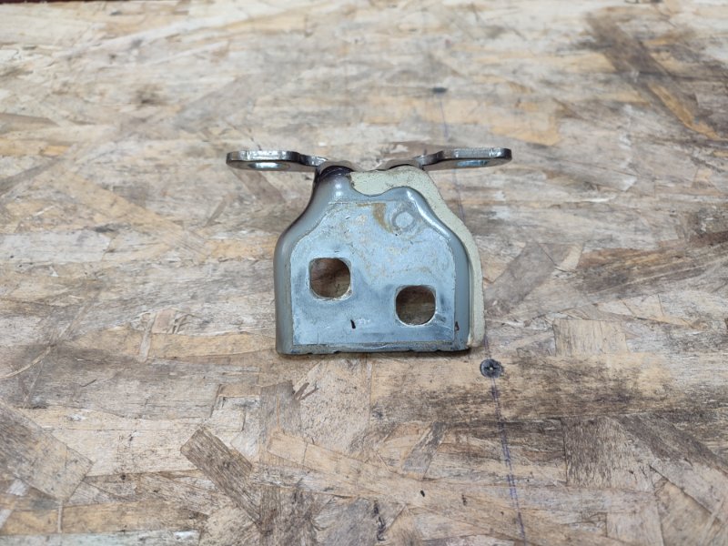 Петля     двери