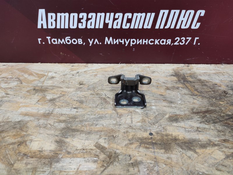 Петля     двери