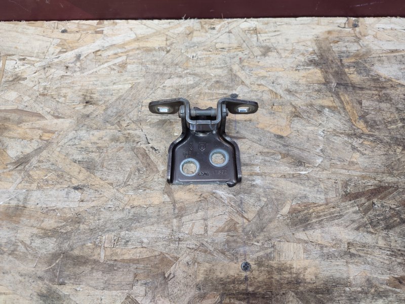 Петля     двери