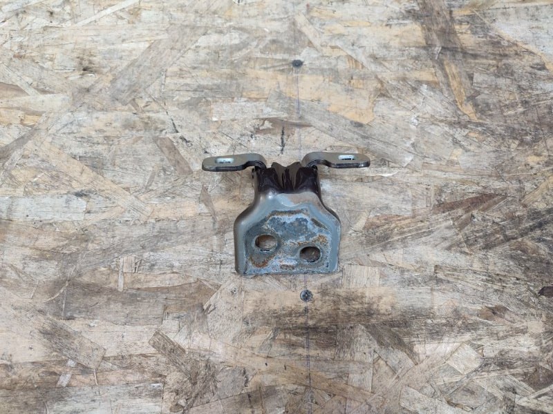 Петля     двери