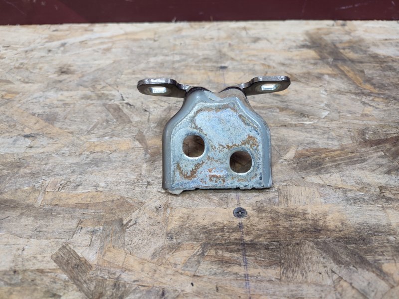 Петля     двери