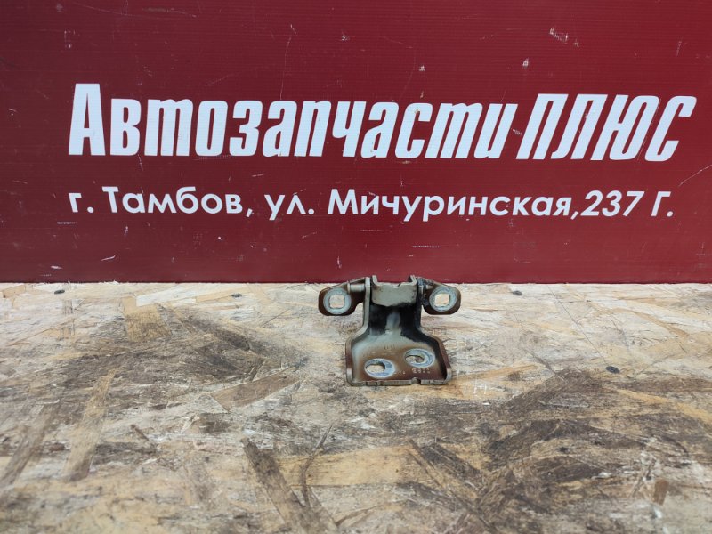 Петля двери