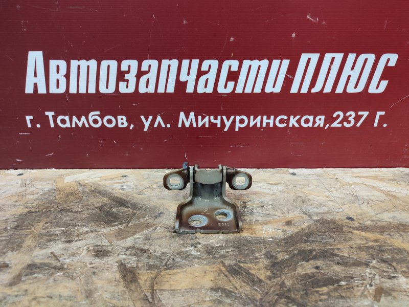 Петля двери