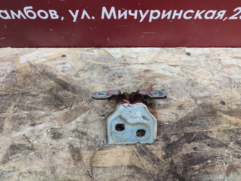 Петля двери