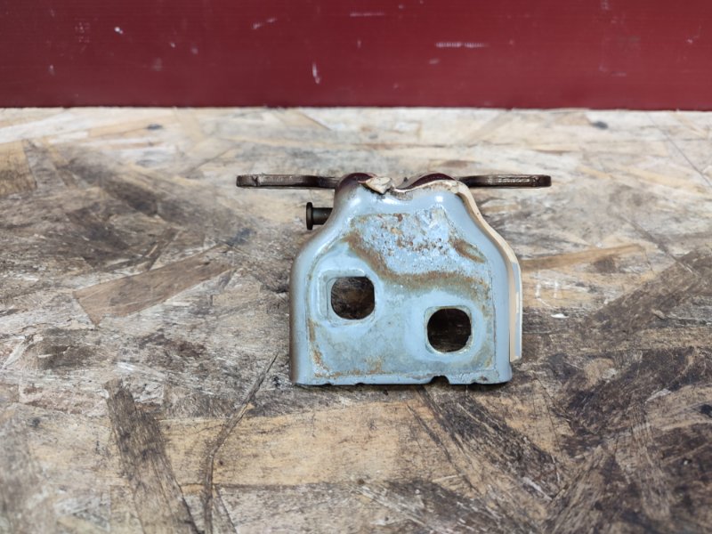 Петля двери