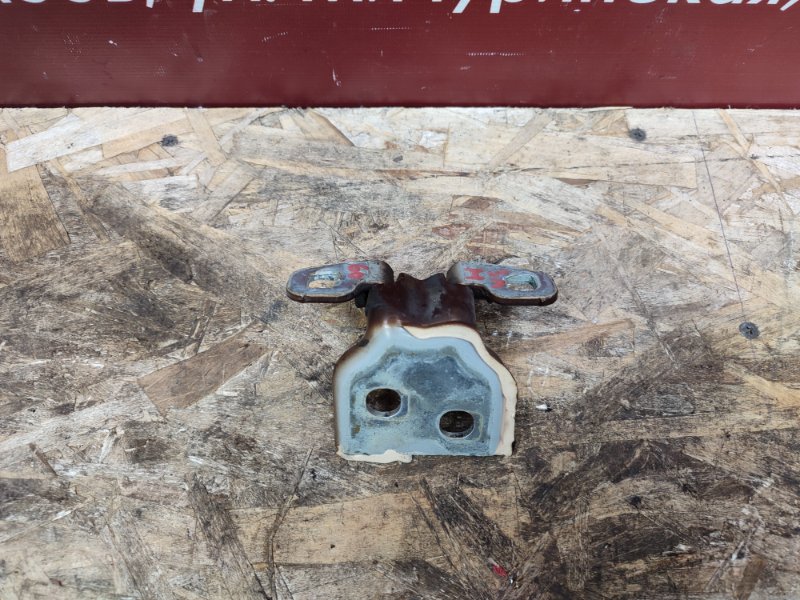 Петля двери