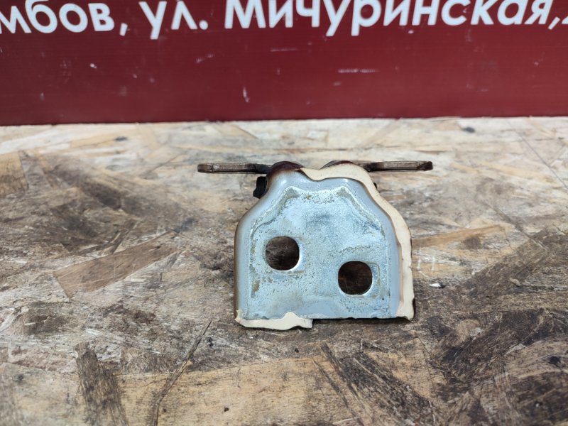 Петля двери