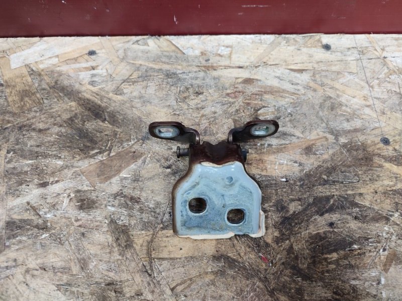 Петля двери