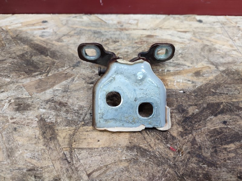 Петля двери