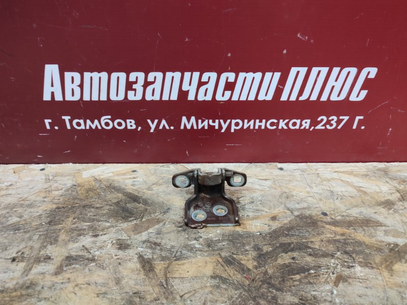 Петля двери