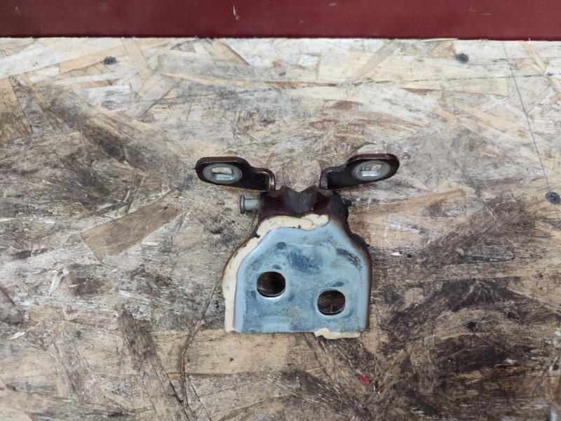 Петля двери