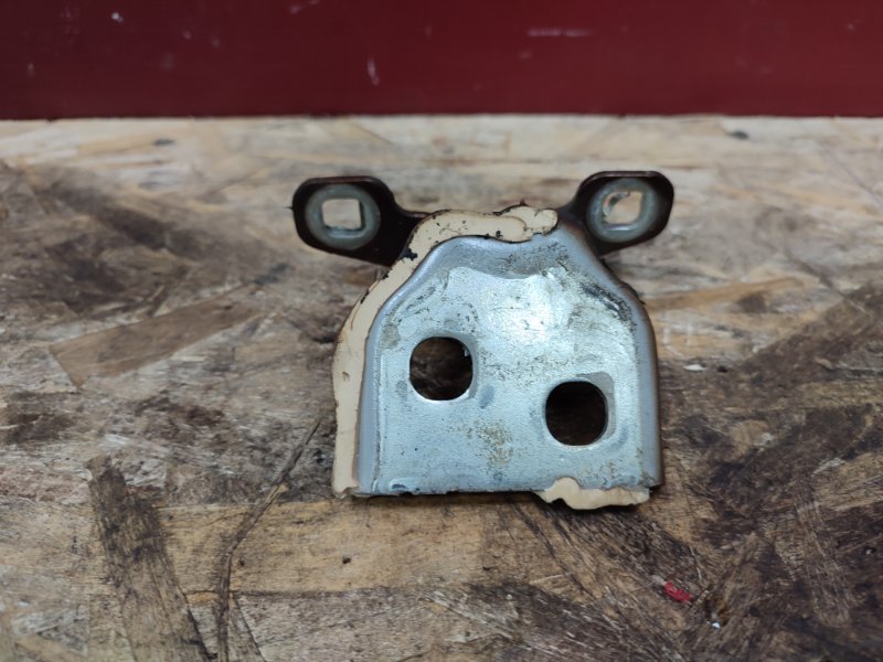 Петля двери