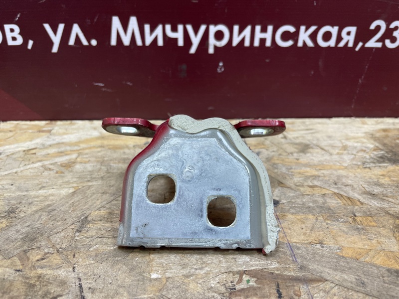 Петля двери