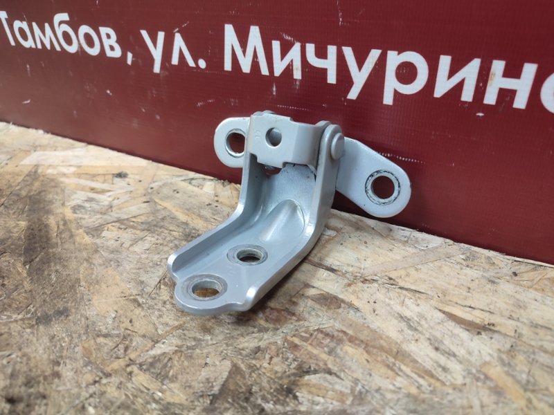 Петля двери