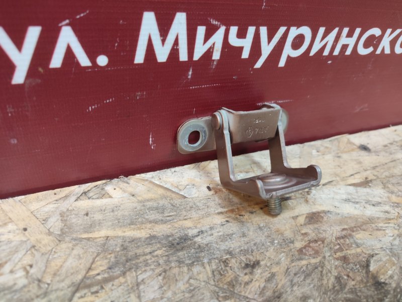 Петля багажника