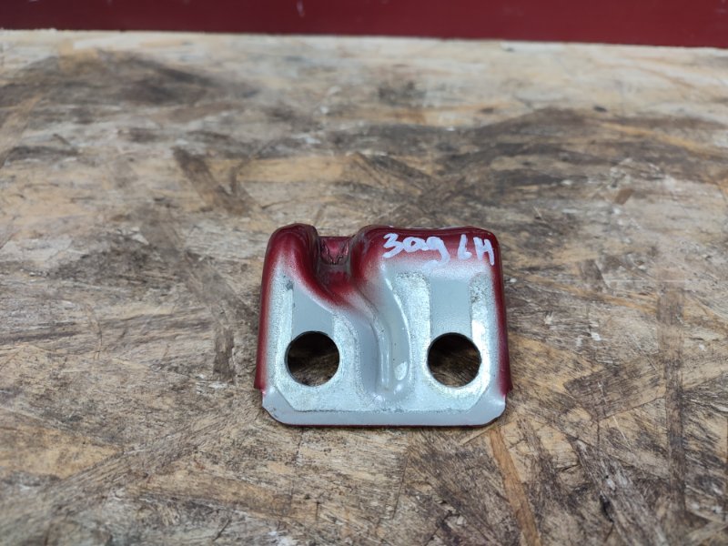 Петля двери