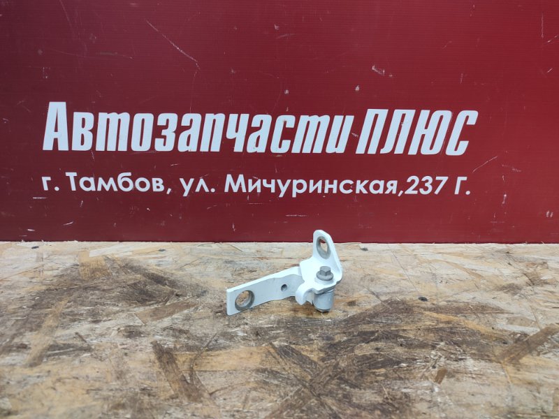 Петля двери