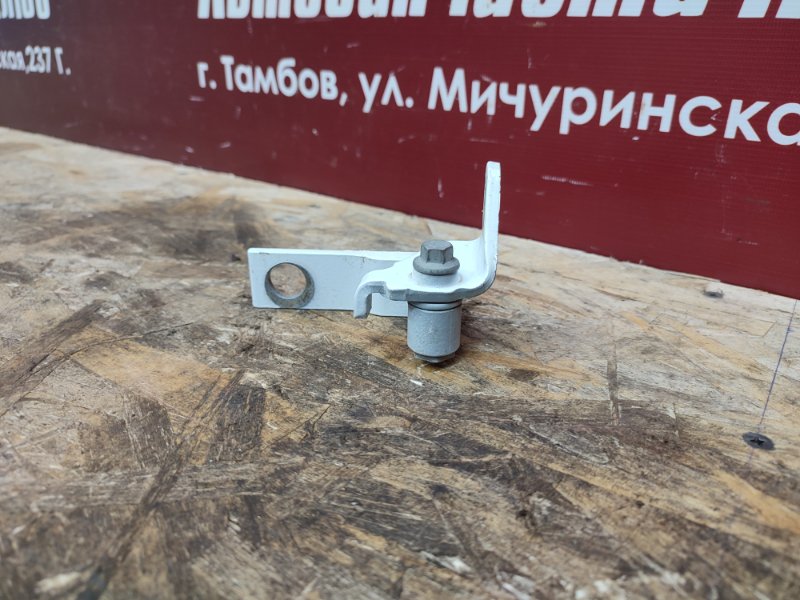 Петля двери