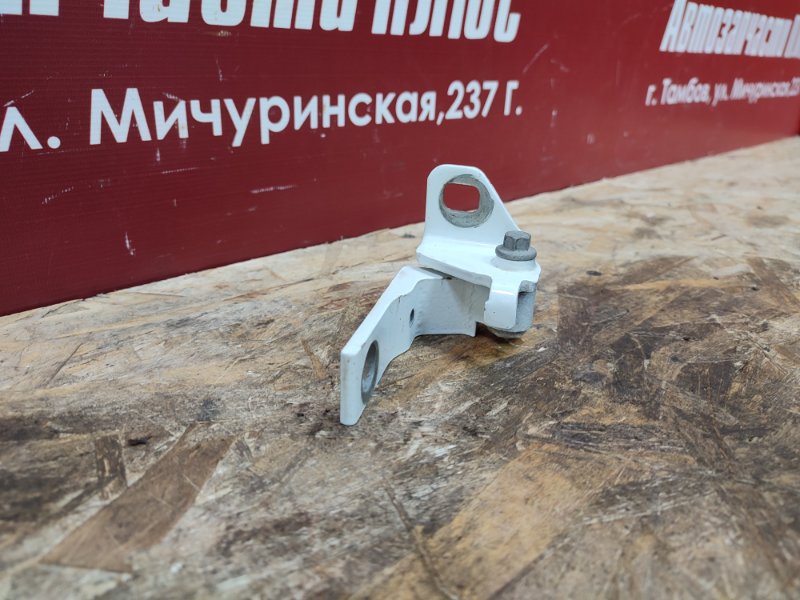 Петля двери