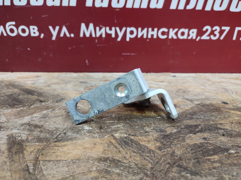 Петля двери