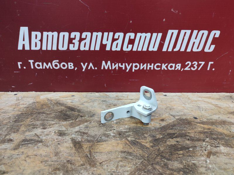 Петля двери