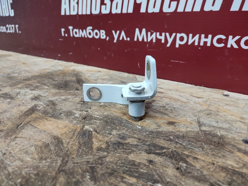 Петля двери