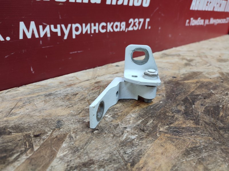 Петля двери