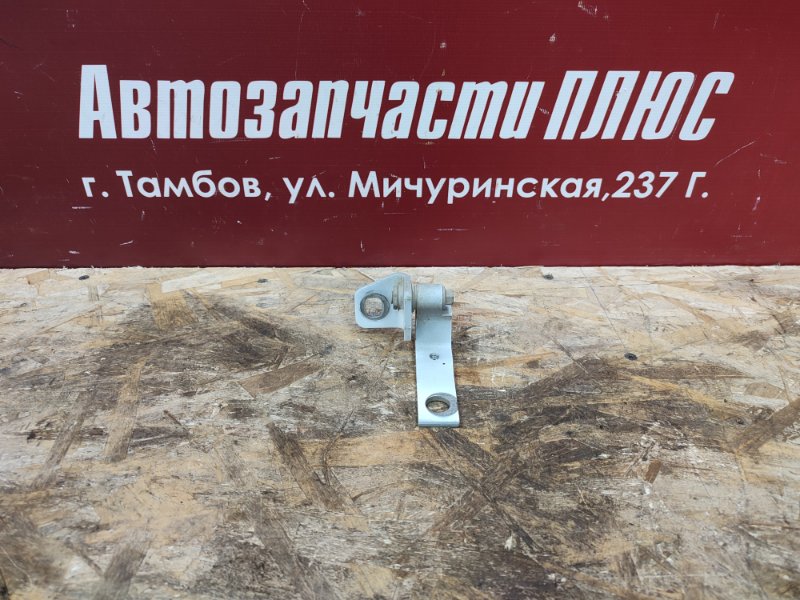 Петля двери