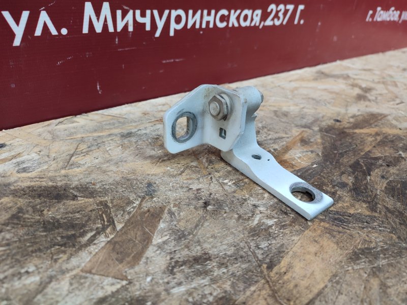 Петля двери