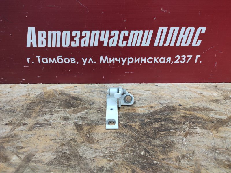 Петля двери