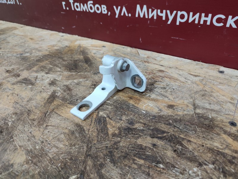 Петля двери