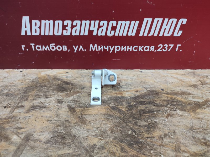 Петля двери