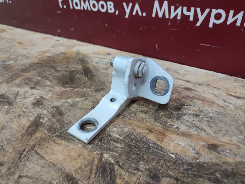 Петля двери