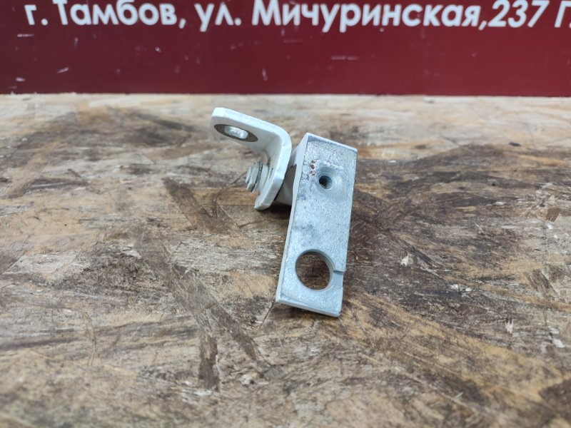 Петля двери