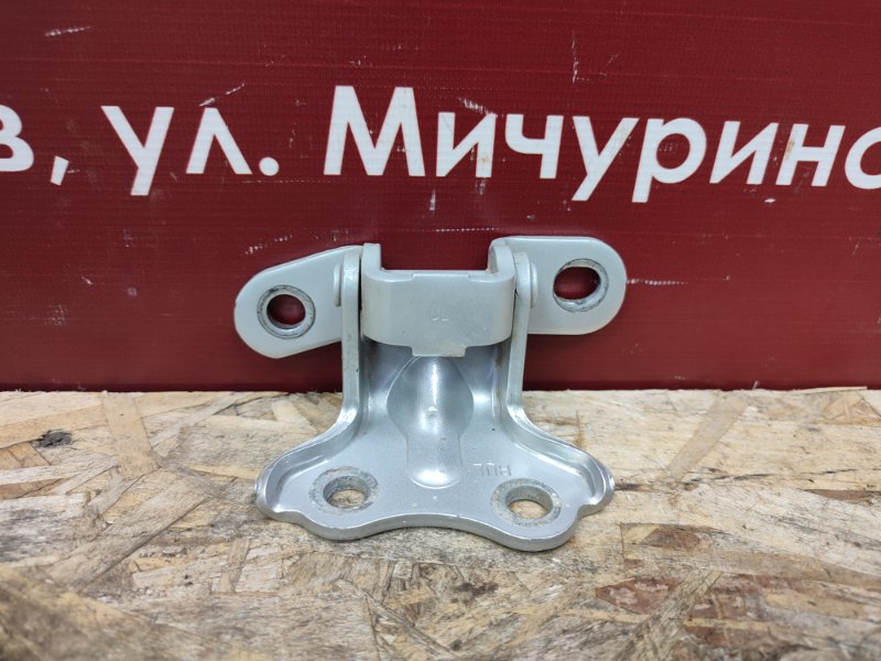 Петля двери