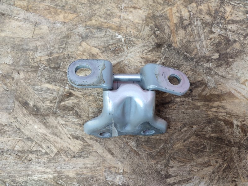 Петля двери