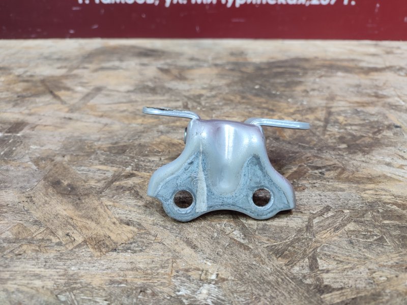 Петля двери