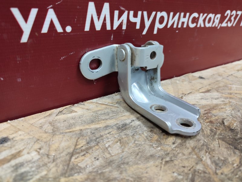 Петля двери