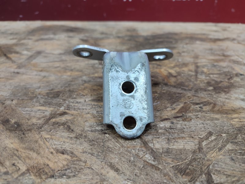 Петля двери