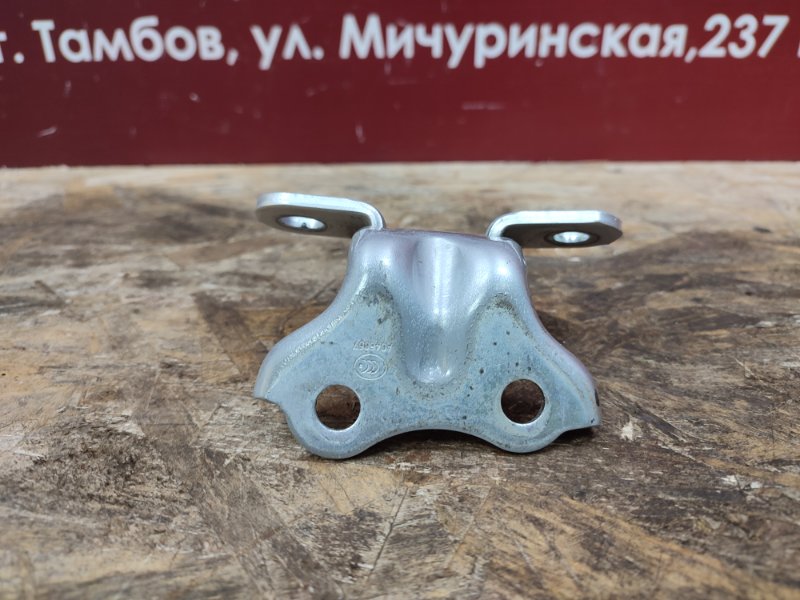 Петля двери