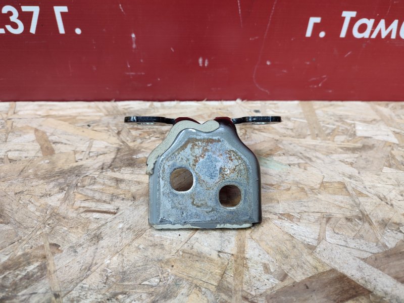 Петля двери