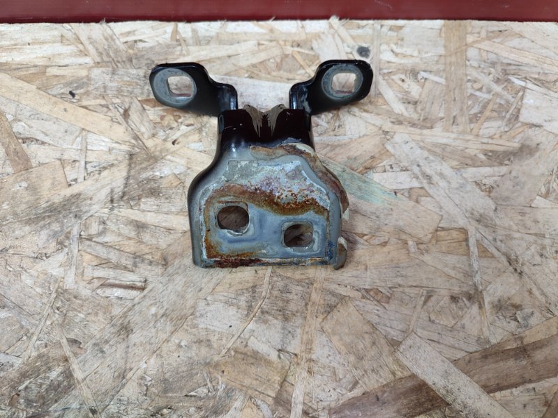 Петля двери