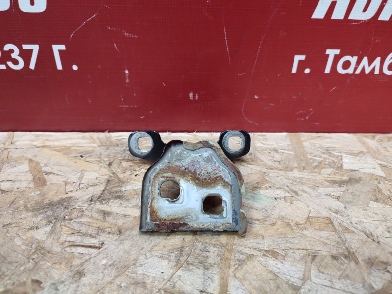 Петля двери