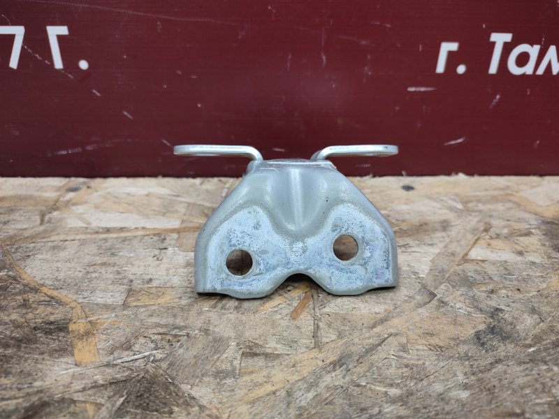 Петля двери